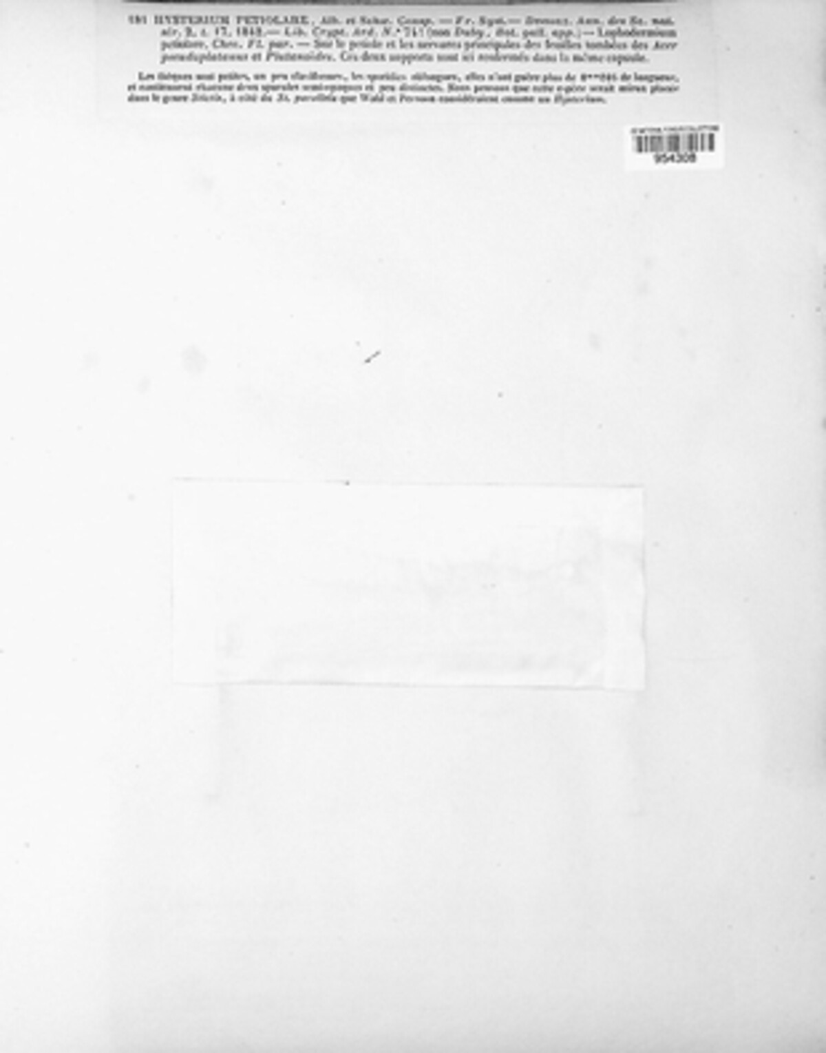 Hysterium petiolare image
